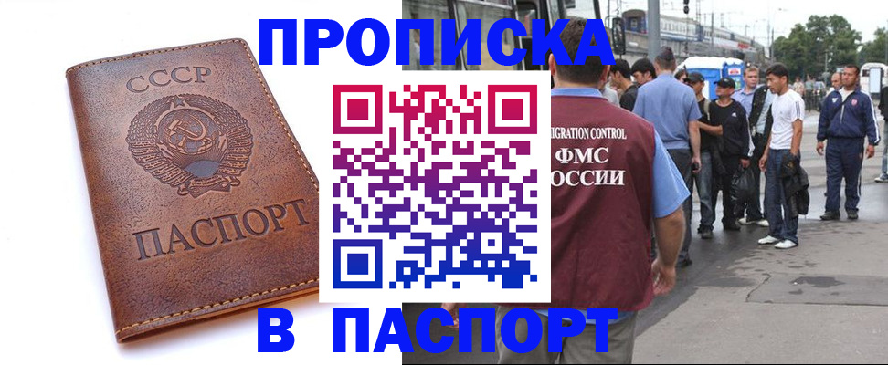 временная регистрация поиск в Петровске